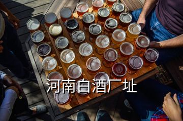 河南白酒厂址