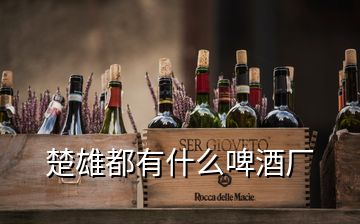 楚雄都有什么啤酒厂