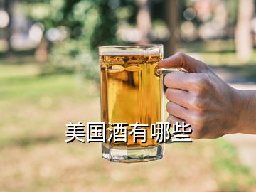 美国酒有哪些