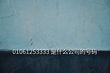 01061253333 是什么公司的号码