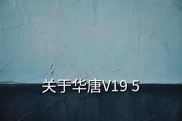 关于华唐V19 5