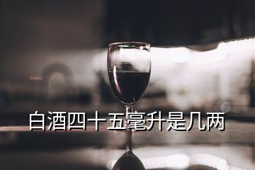 白酒四十五毫升是几两