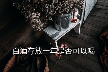 白酒存放一年是否可以喝