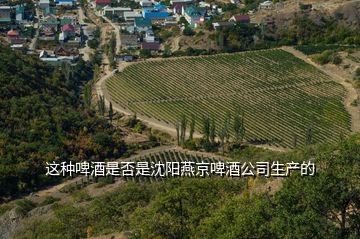 这种啤酒是否是沈阳燕京啤酒公司生产的