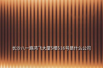 长沙八一路鸿飞大厦5楼516号是什么公司