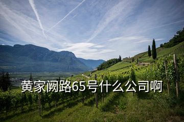 黄家阙路65号什么公司啊