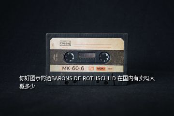 你好图示的酒BARONS DE ROTHSCHILD 在国内有卖吗大概多少