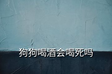 狗狗喝酒会喝死吗