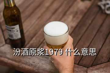 汾酒原浆1979 什么意思