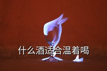 什么酒适合温着喝