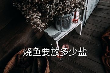 烧鱼要放多少盐