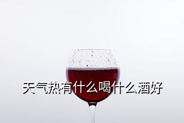 天气热有什么喝什么酒好