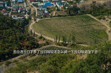 泡白酒当归下多了当归味较浓怎么调一下当归味道压下去