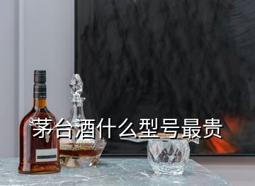 茅台酒什么型号最贵