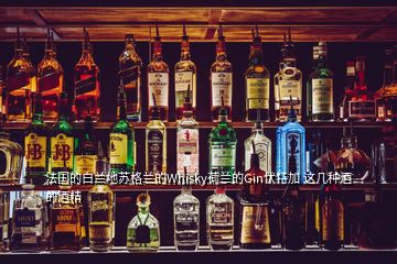 法国的白兰地苏格兰的Whisky荷兰的Gin伏特加 这几种酒的酒精