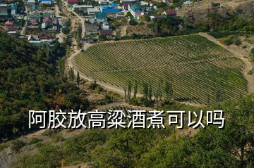 阿胶放高粱酒煮可以吗