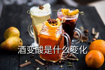 酒变酸是什么变化