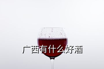 广西有什么好酒