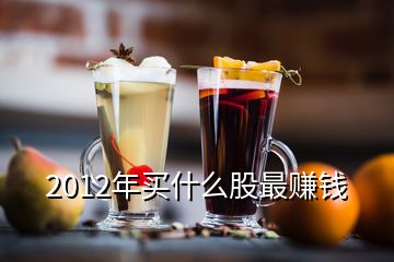 2012年买什么股最赚钱