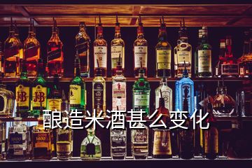 酿造米酒甚么变化