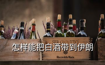 怎样能把白酒带到伊朗