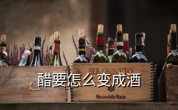 醋要怎么变成酒