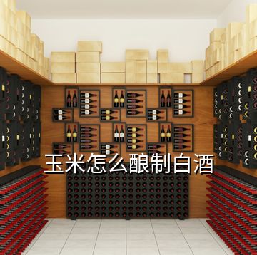 玉米怎么酿制白酒