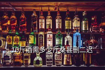 10斤酒需多少斤桑葚删二迟