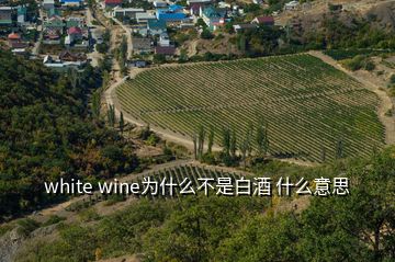 white wine为什么不是白酒 什么意思