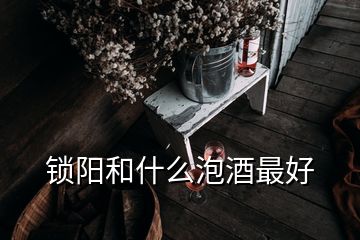 锁阳和什么泡酒最好