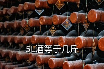 5L酒等于几斤