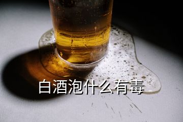 白酒泡什么有毒