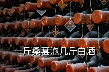 一斤桑葚泡几斤白酒