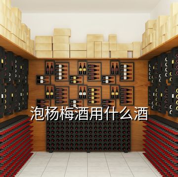 泡杨梅酒用什么酒