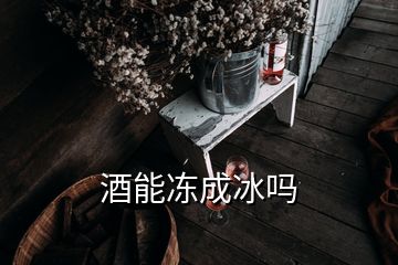 酒能冻成冰吗