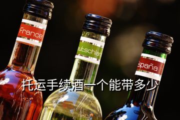 托运手续酒一个能带多少