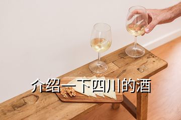 介绍一下四川的酒