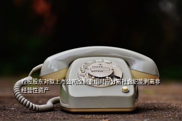 控股股东对拟上市公司改制重组时应分离社会职能剥离非经营性资产