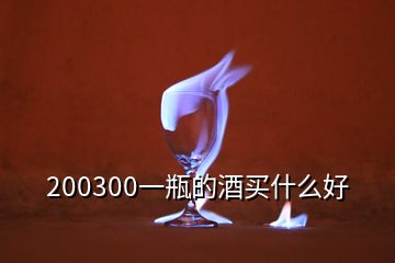 200300一瓶的酒买什么好