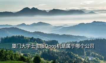 厦门大学士金服Qpos机是属于哪个公司