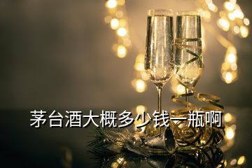 茅台酒大概多少钱一瓶啊