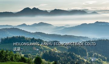 HEILONGJIANG JIANYU ECONOMICTRADE COLTD 这是