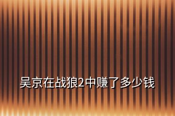 吴京在战狼2中赚了多少钱