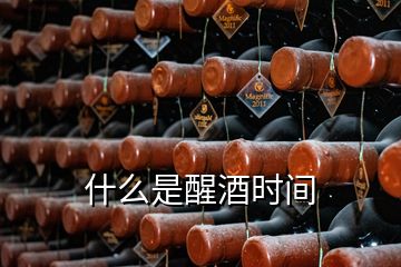 什么是醒酒时间