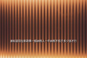 谁知道现在新政策一般纳税人一年纳税不低于多少钱才行