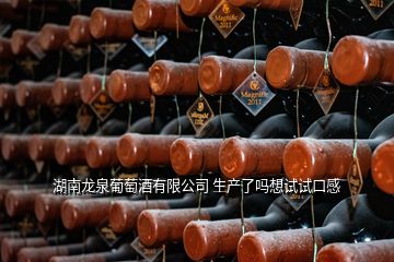 湖南龙泉葡萄酒有限公司 生产了吗想试试口感