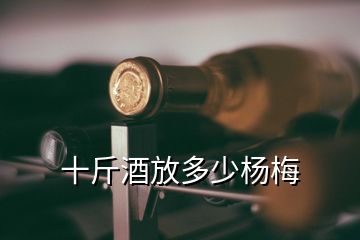 十斤酒放多少杨梅