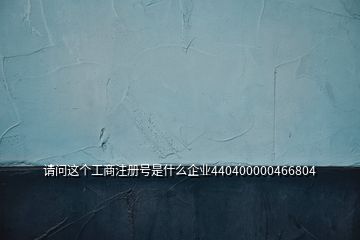 请问这个工商注册号是什么企业440400000466804