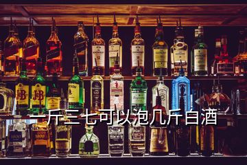 一斤三七可以泡几斤白酒