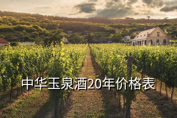 中华玉泉酒20年价格表